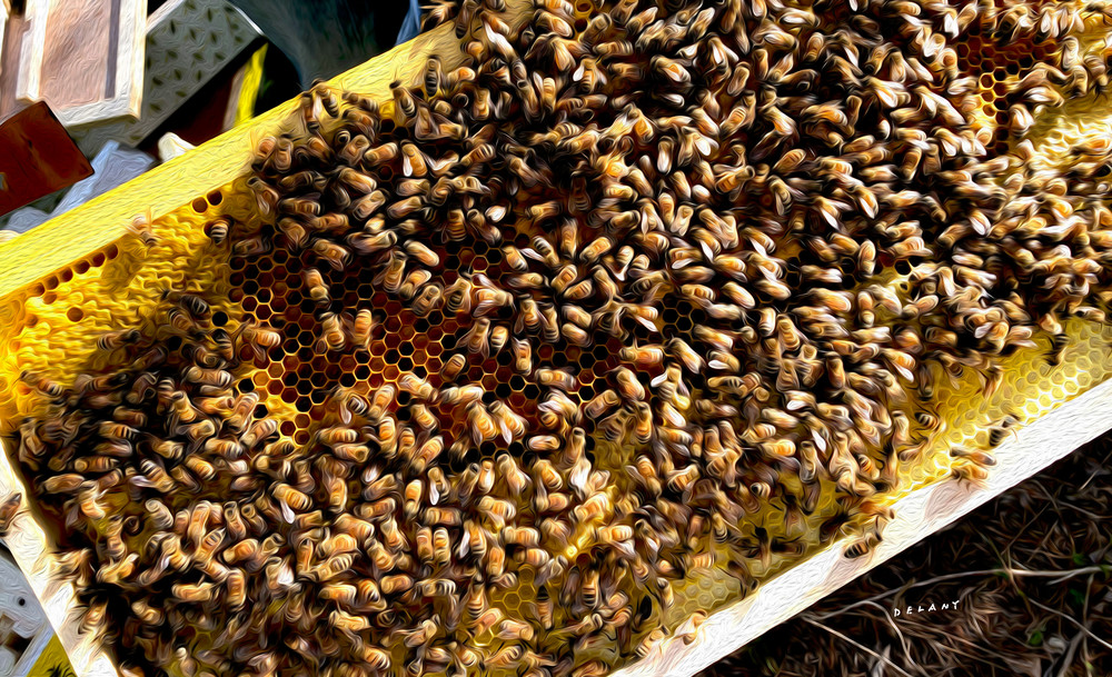 Honey-Bees #9
