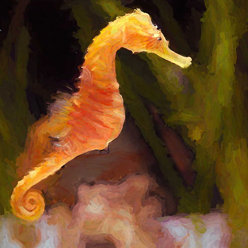 Seahorse Art | Light Pixie Studio