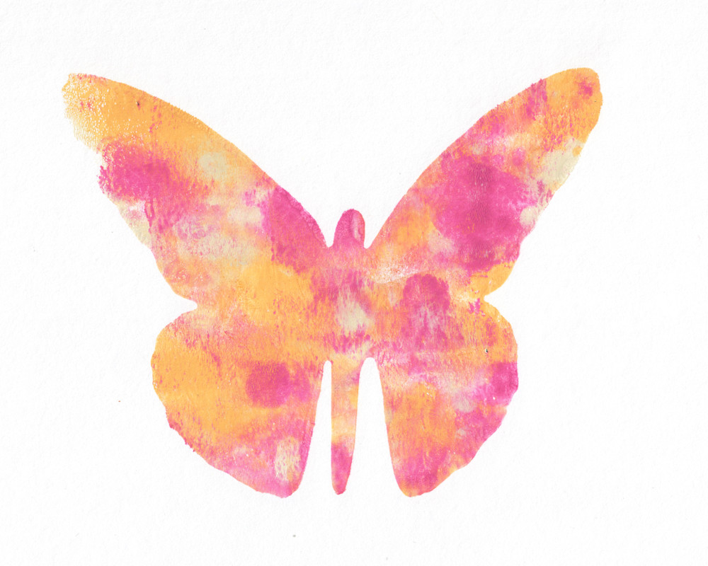 Pink and Yellow Butterfly