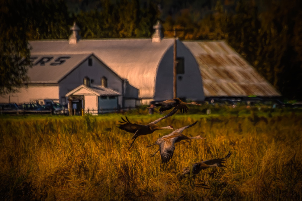 Cramers Field With Barn Photography Art | 603016584