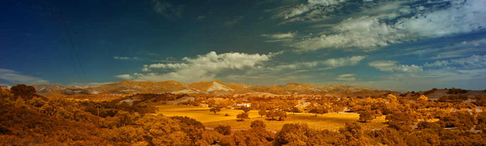 Santa Ynez Valley Landscape, Orange Photography Art | Bryce Quayle Fine Art Photography