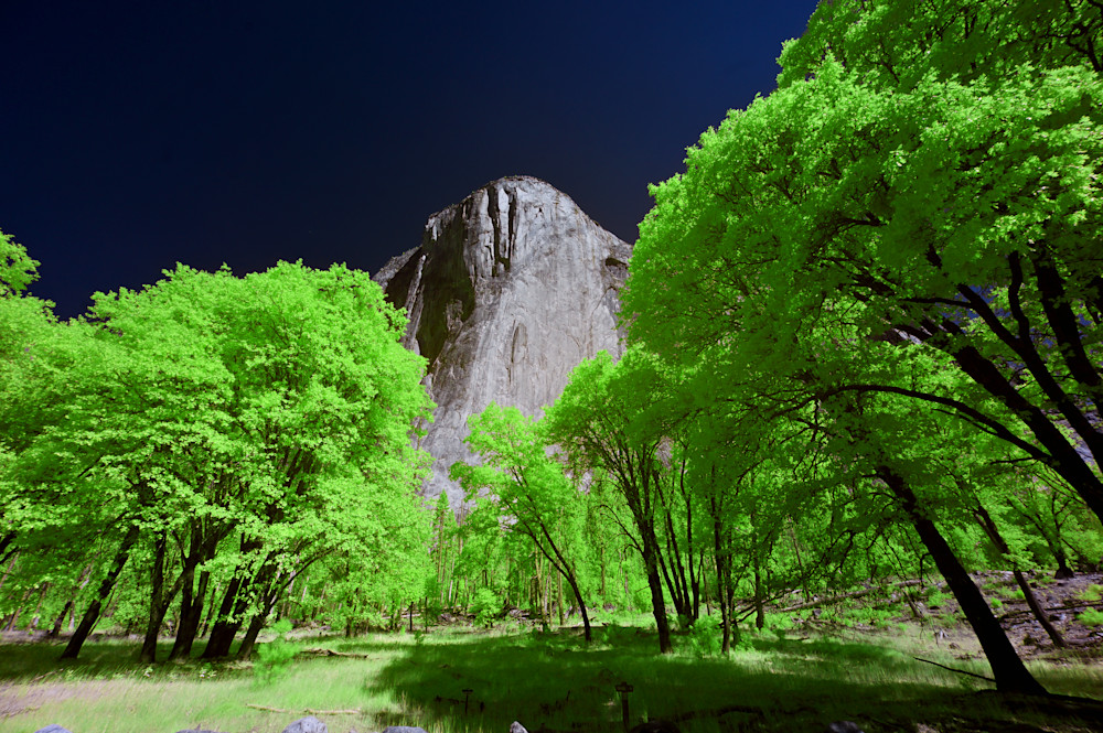 Yosemite, El Capitan, Green Photography Art | Bryce Quayle Fine Art Photography