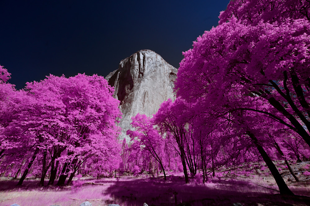 Yosemite, El Capitan, Pink Photography Art | Bryce Quayle Fine Art Photography