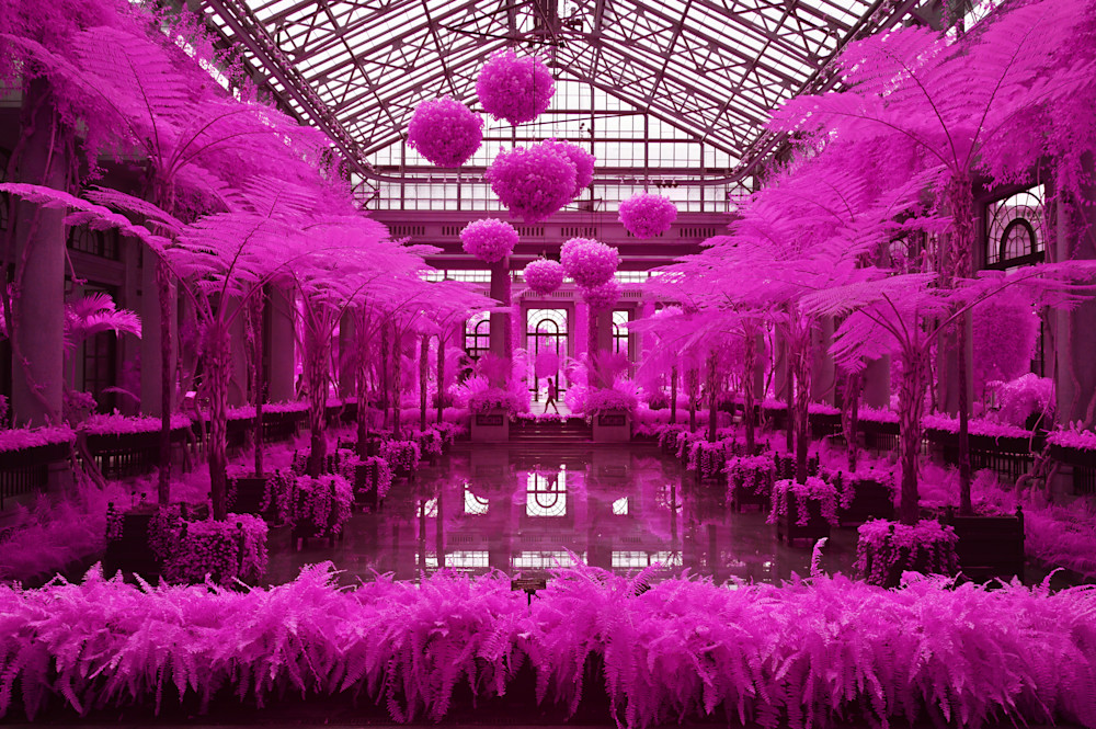 Longwood Gardens Conservatory Reflecting Pool, Bright Pink Photography Art | Bryce Quayle Fine Art Photography