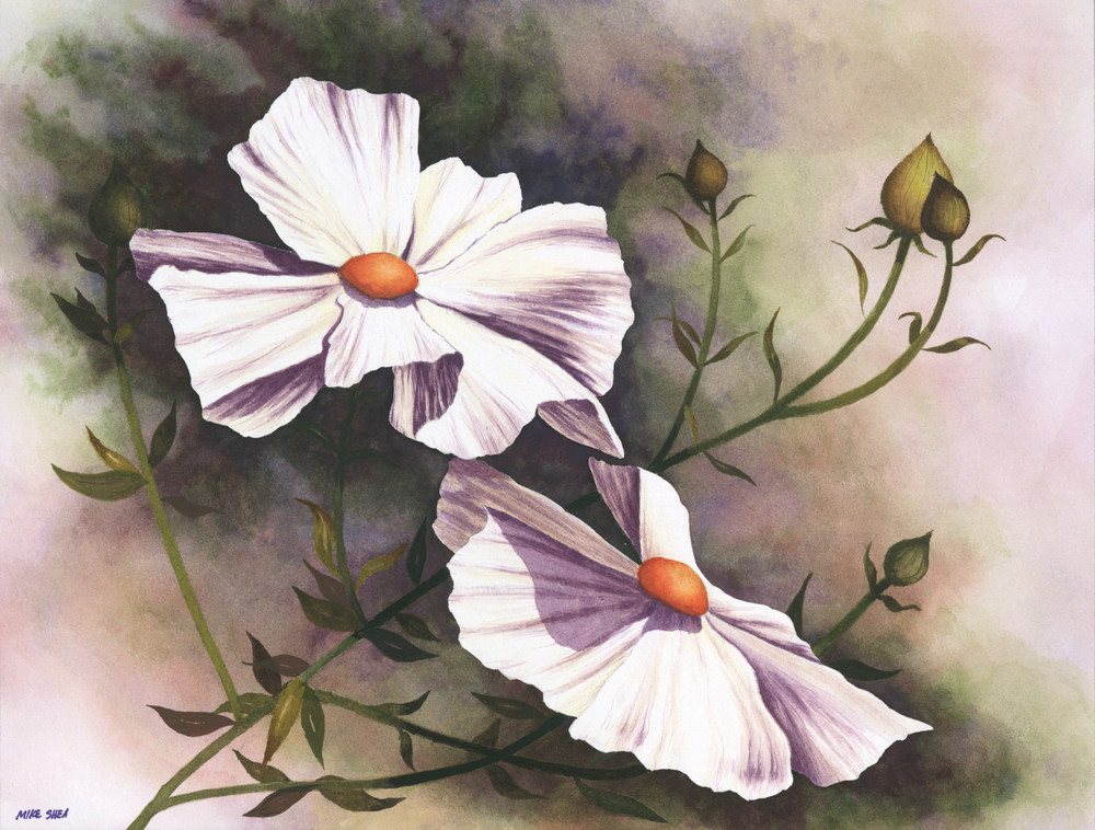 White Flowers | Warehouse Print