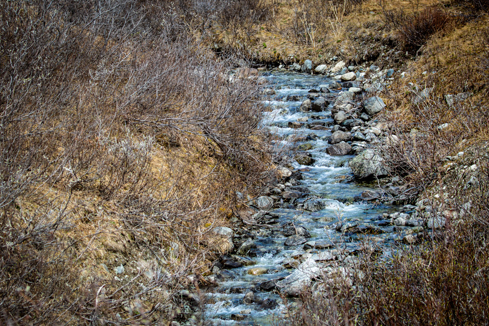 Stream, Yukon Territory Photography Art | Kim Clune, Photographer Untamed