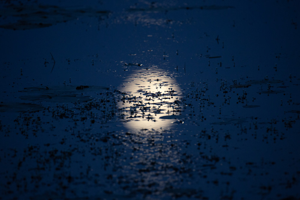 Moon Water, Saratoga Springs Photography Art | Kim Clune, Photographer Untamed