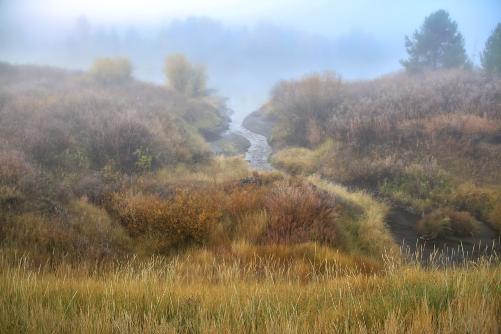 Foggy Grand Teton National Park Photography Art | Kim Clune, Photographer Untamed