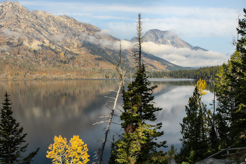 Fall In Grand Teton National Park Photography Art | Kim Clune, Photographer Untamed