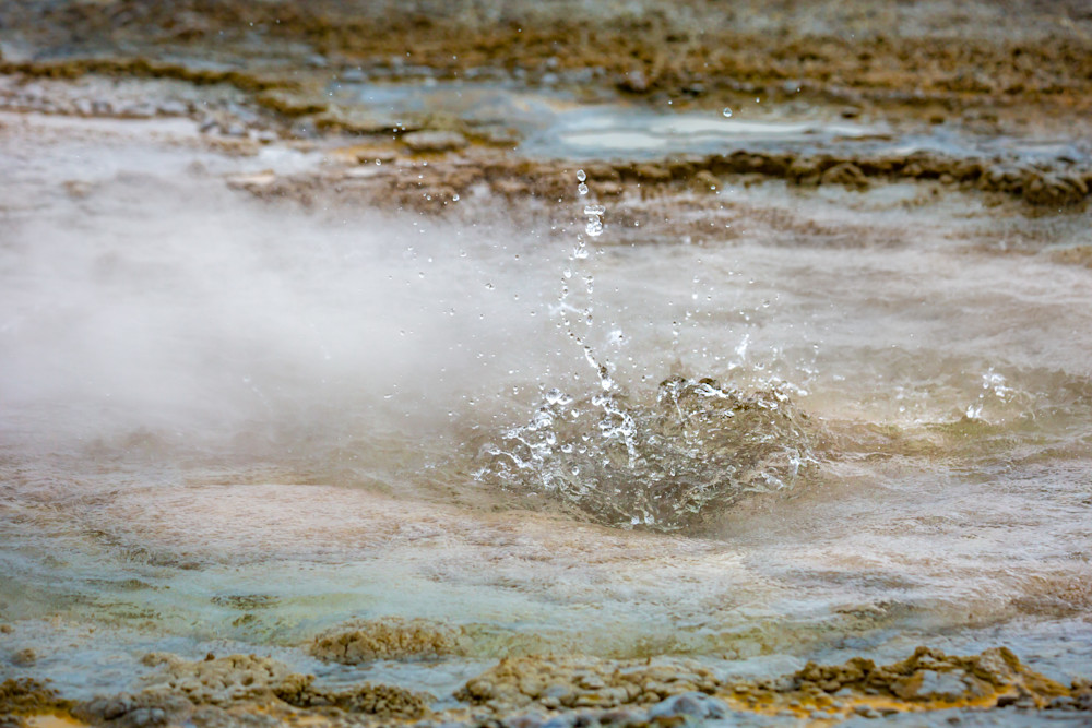 Percolating In Yellowstone Photography Art | Kim Clune, Photographer Untamed