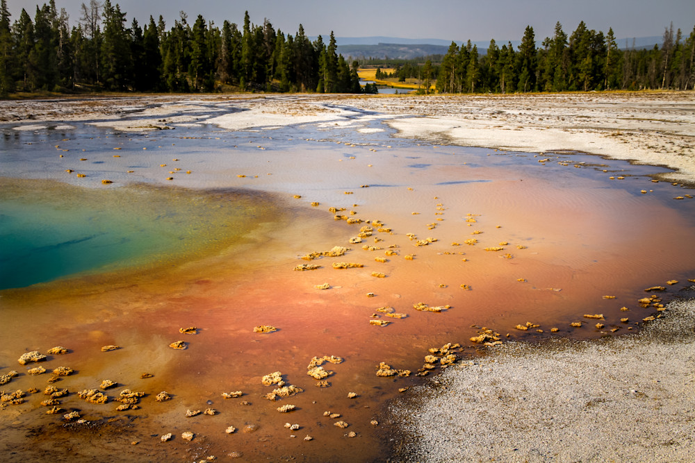 Grand Prismatic Spring, Yellowstone Photography Art | Kim Clune Photography