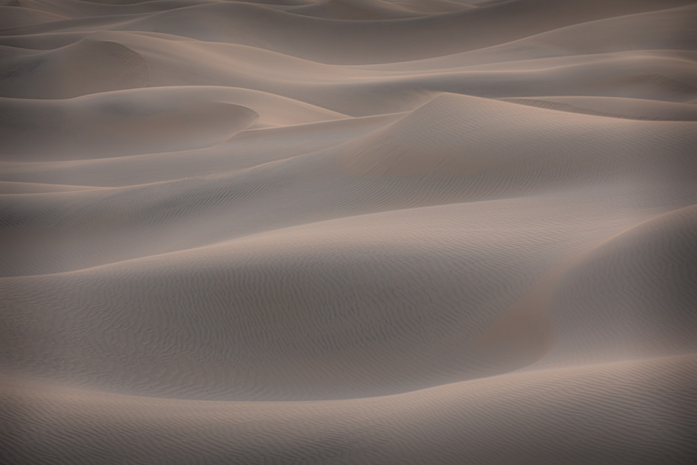 Duneland Dream Photography Art | Mark LaRowe Photography