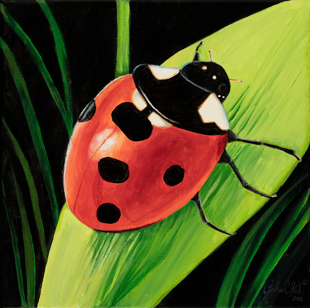 Lady Bug Art | Andrea Kirk Fine Art.Shop