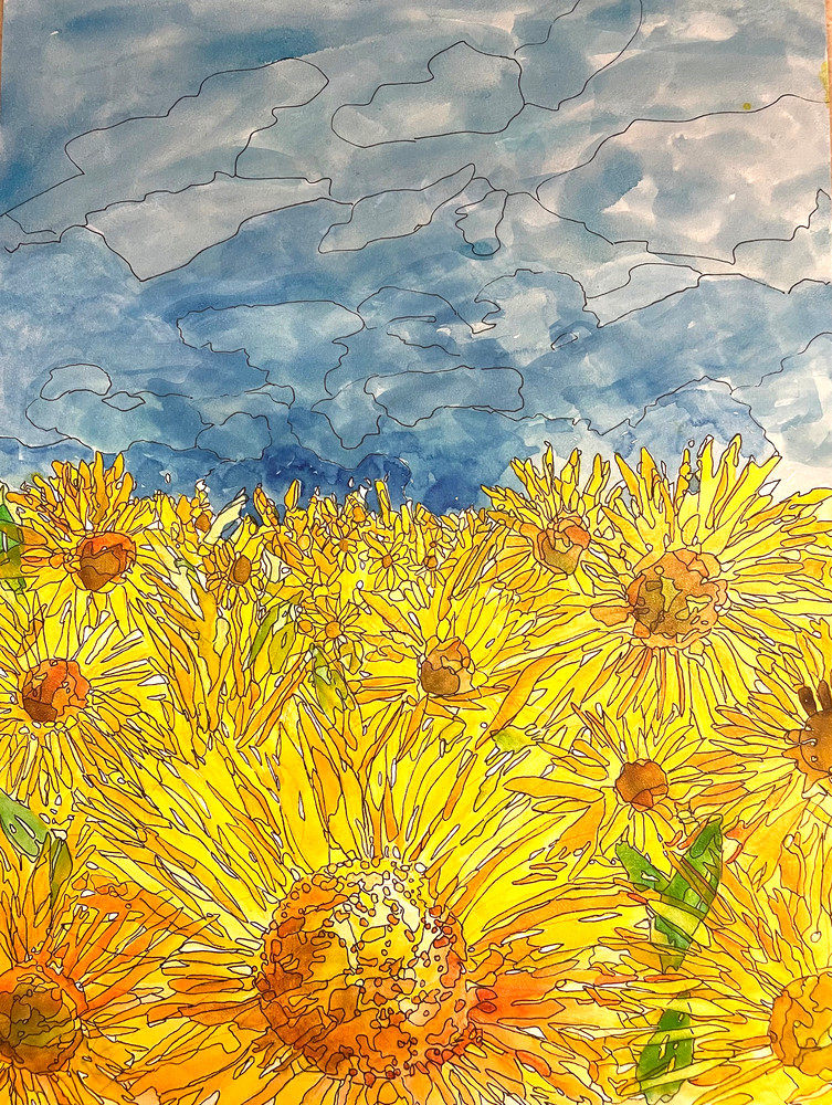 Ukraine field of sun flowers