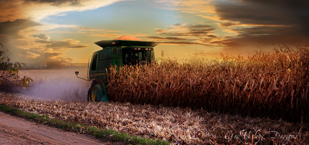 Fall Harvest Photography Art | Gail Wiley Thompson Photography
