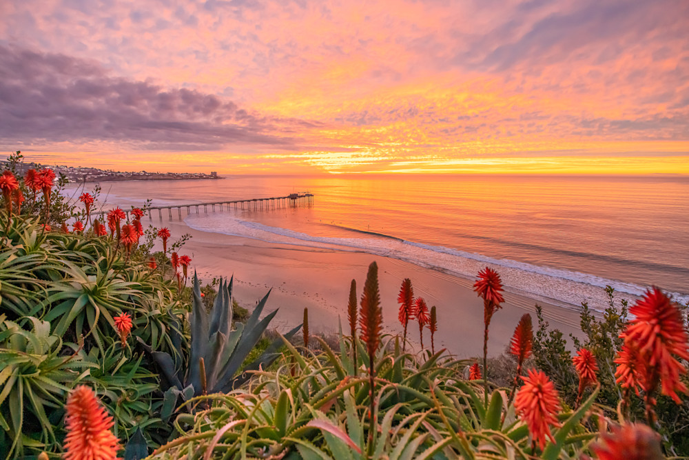 La Jolla, Scripps Pier Photography Art | taylordapice