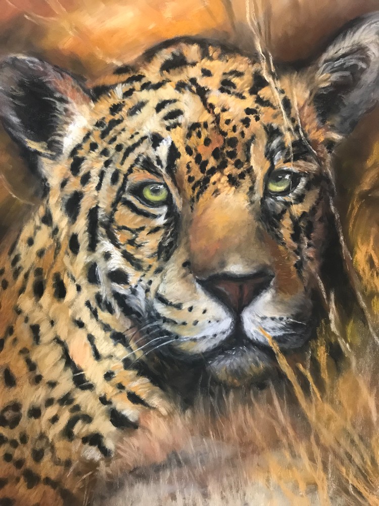 Elusive Leopard Art | nancychipman