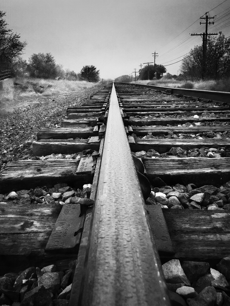 Railroad tracks rush toward the horizon at the edge of a Yolo County farm.