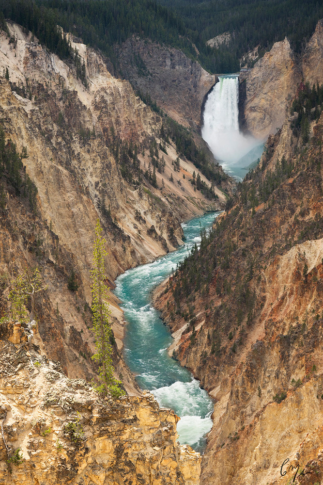 Constance Mier Photography - Yellowstone National Park
