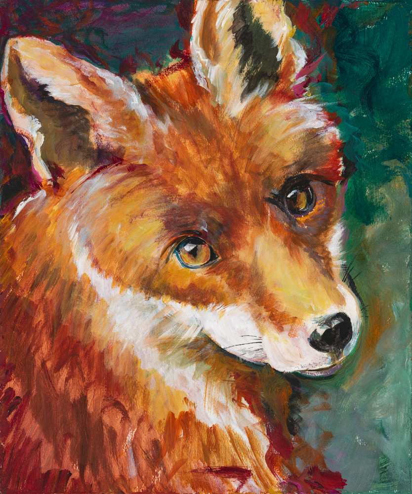 Sweet Fox Art | COLLEEN SCHREINER