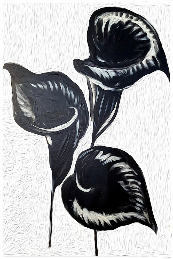Black Lillies Print Version Art | leannaarts