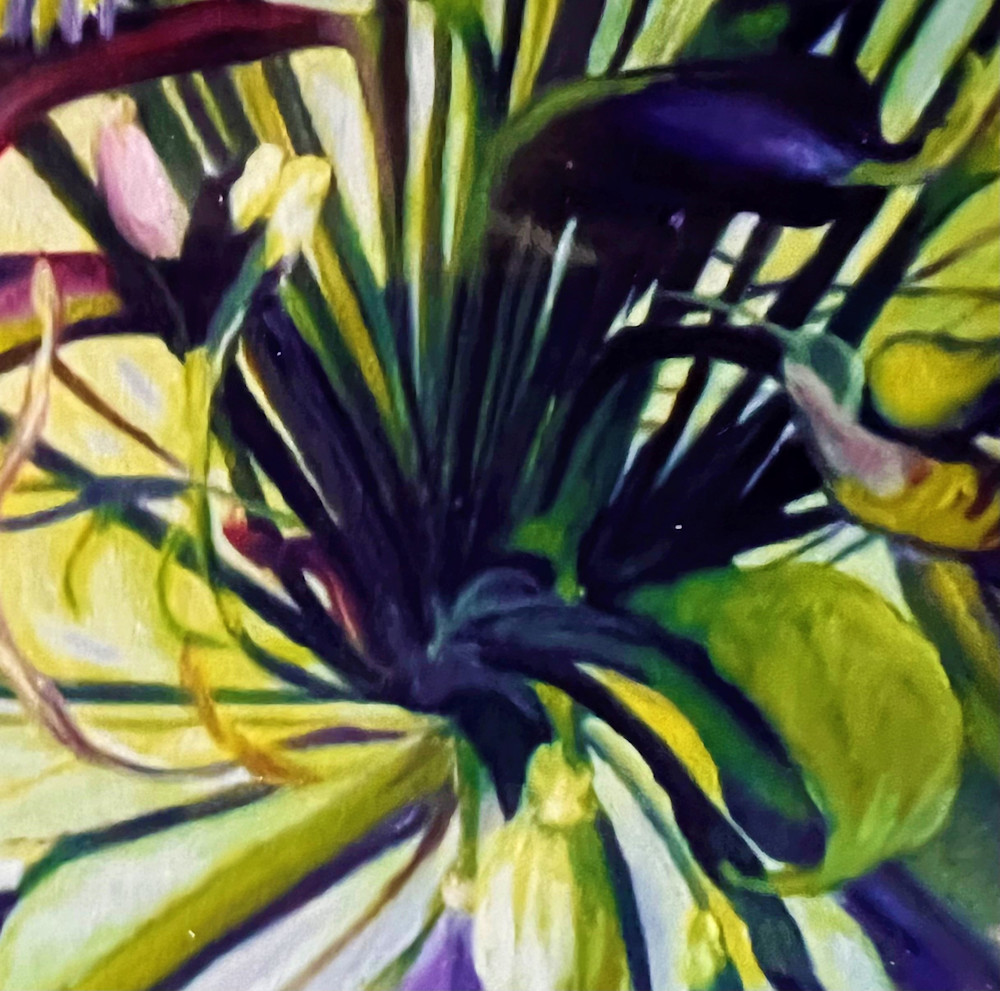 Blossoming Agapanthus Art | nancychipman