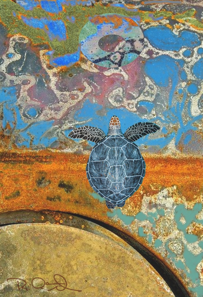 Turtle Tide Art | Robert Althouse Fine Art