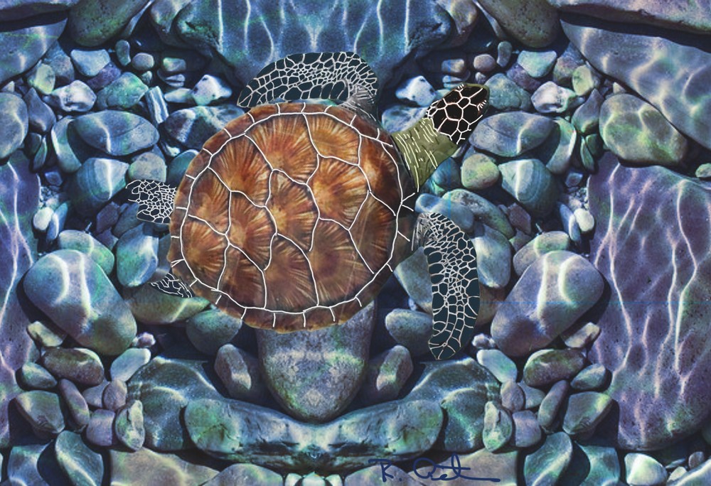 Honu Poetry Art | Robert Althouse Fine Art