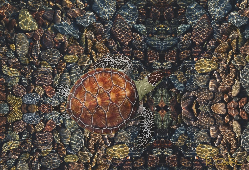 Camouflage Art | Robert Althouse Fine Art