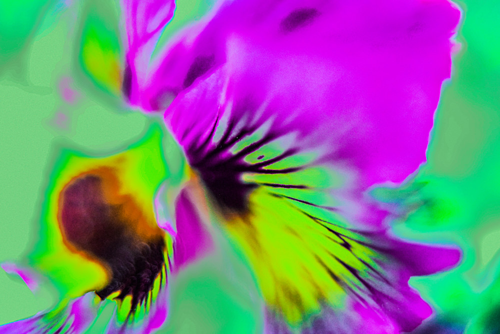 Abstract Flower Photography Art | John's Photos