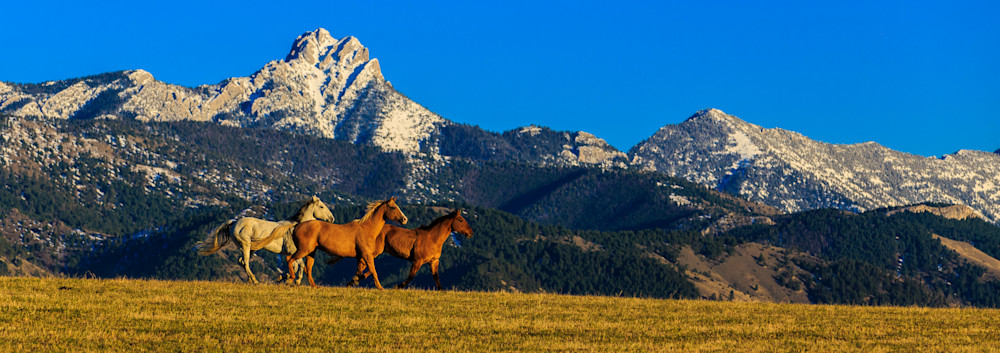 Img 5994 Photography Art | Mark LaRowe Photography