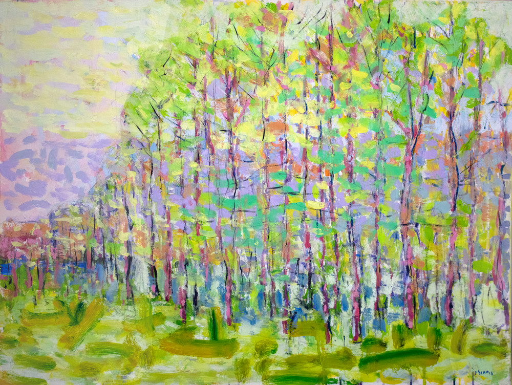 Trees In Spring  Art | John Sirois
