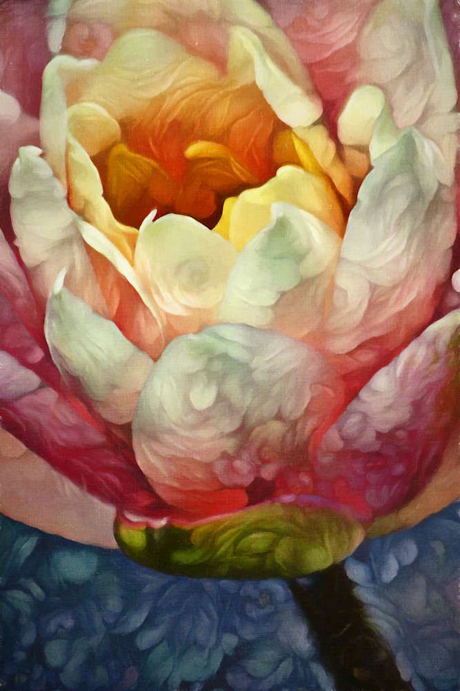 Painted Lotus Photography Art | Steven Rosen Photography