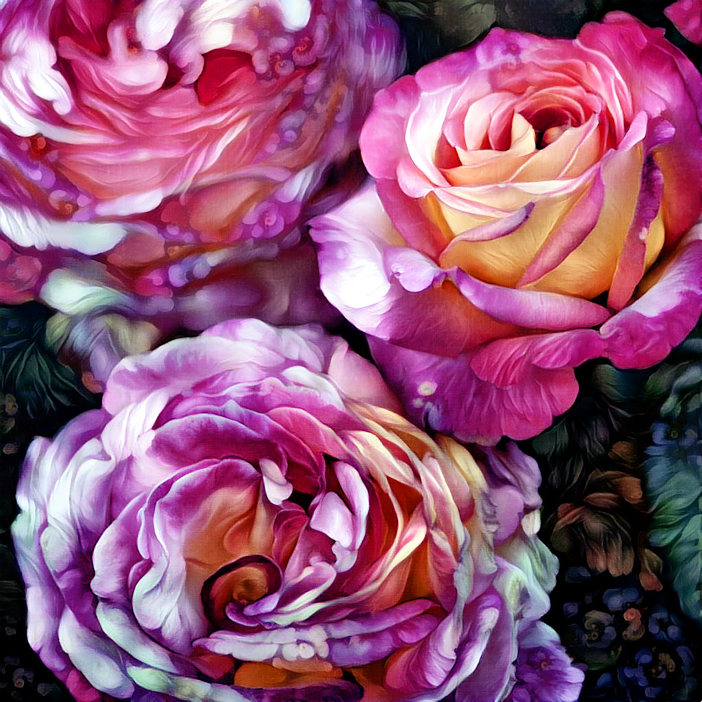 Three Roses Photography Art | Steven Rosen Photography