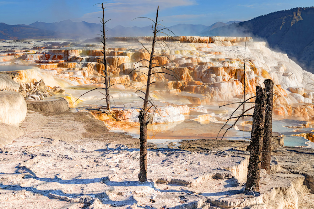 Tco Canary Spring/Terrace (1), Mammoth Springs, Yellowstone N.P.  Art | Open Range Images
