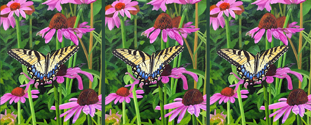 Tiger Swallowtail In Coneflowers Art | Judy's Art Co.