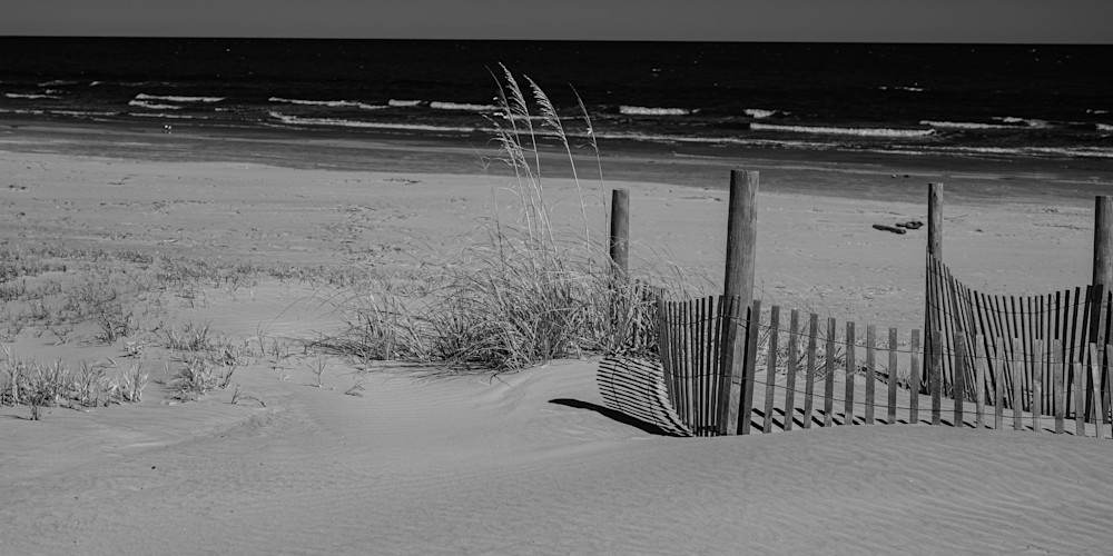 Beach Fence Drama