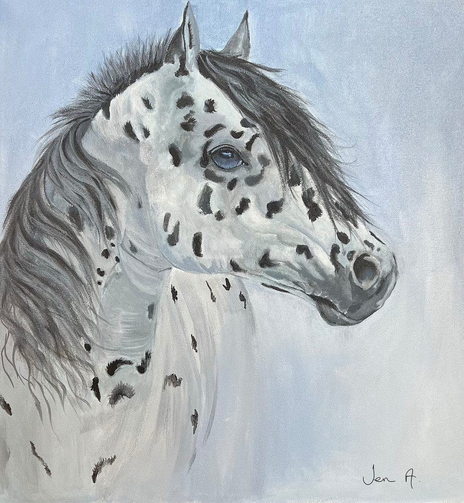 An appaloosa horse ,spotted, equine art, horse paintings