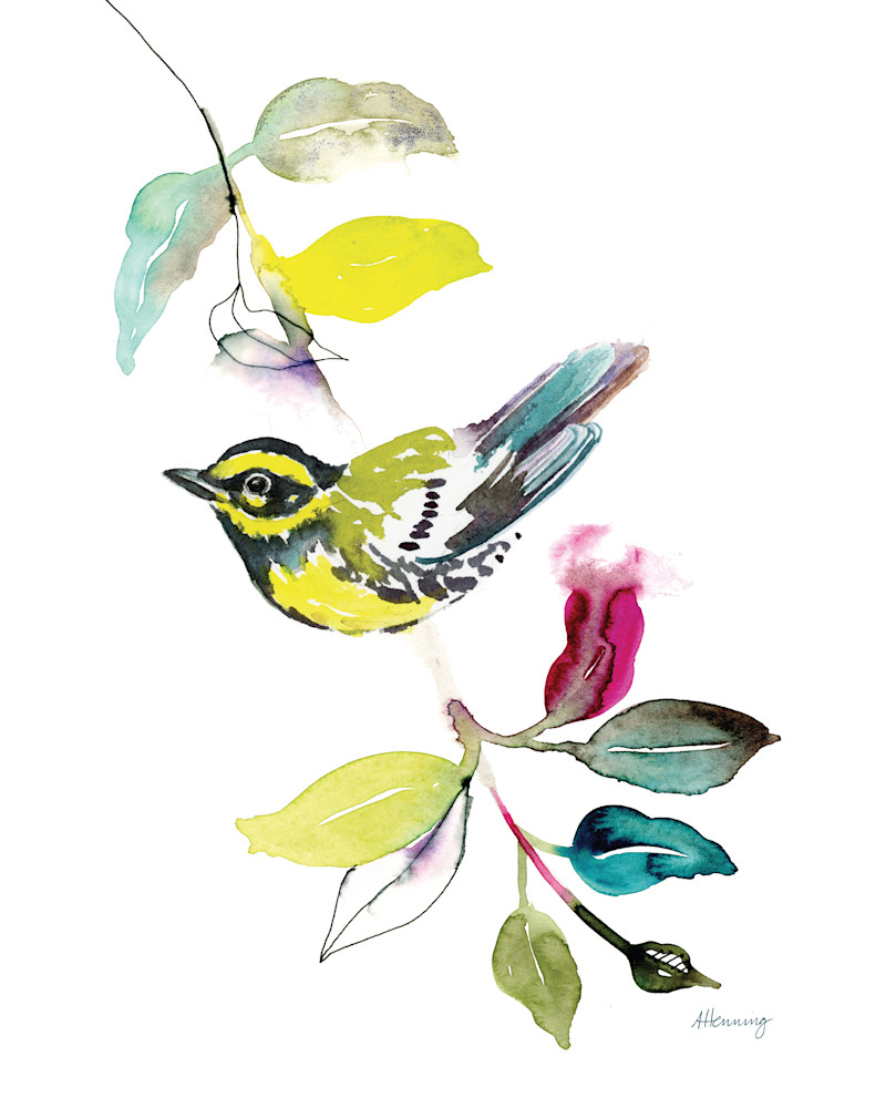 Townsend's Warbler Art | Andrea Henning Art