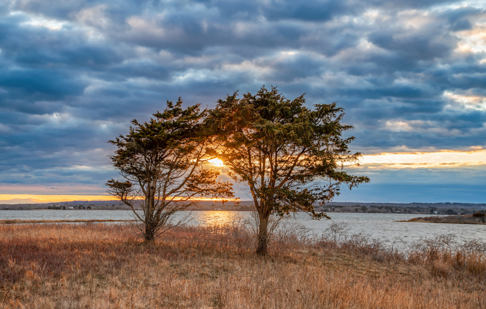 Long Point Lighted Trees Art | Michael Blanchard Inspirational Photography - Crossroads Gallery