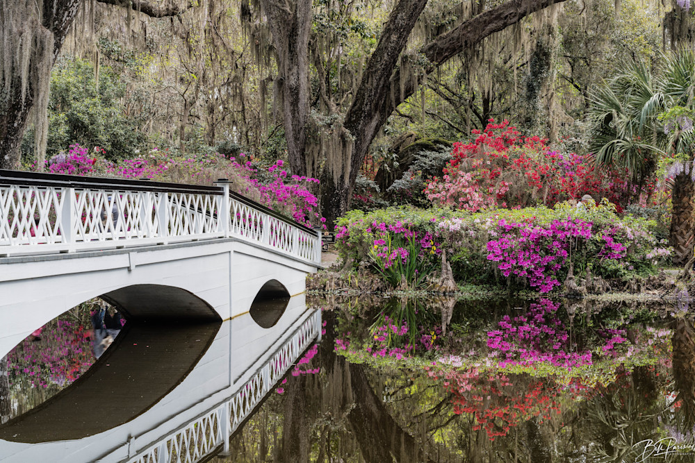 Magnolia Gardens Bridge Photography Art | BILL PARIS PHOTOGRAPHY