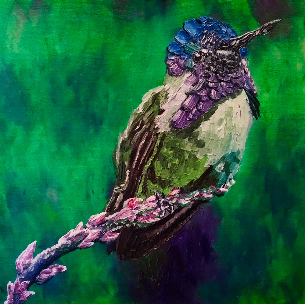 Hummingbird Art | Whiptail Oils