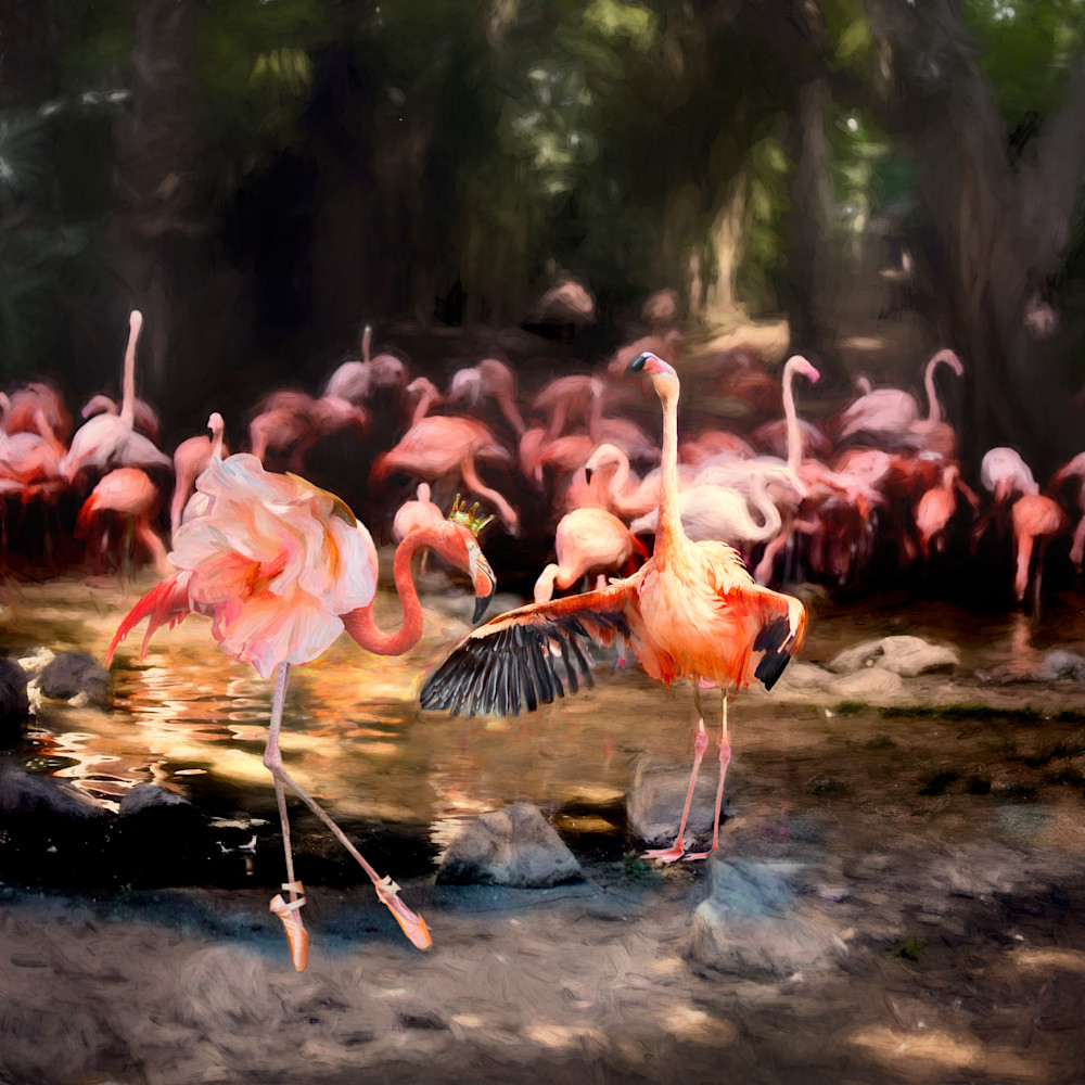 Flamingo Ballet Art | Light Pixie Studio