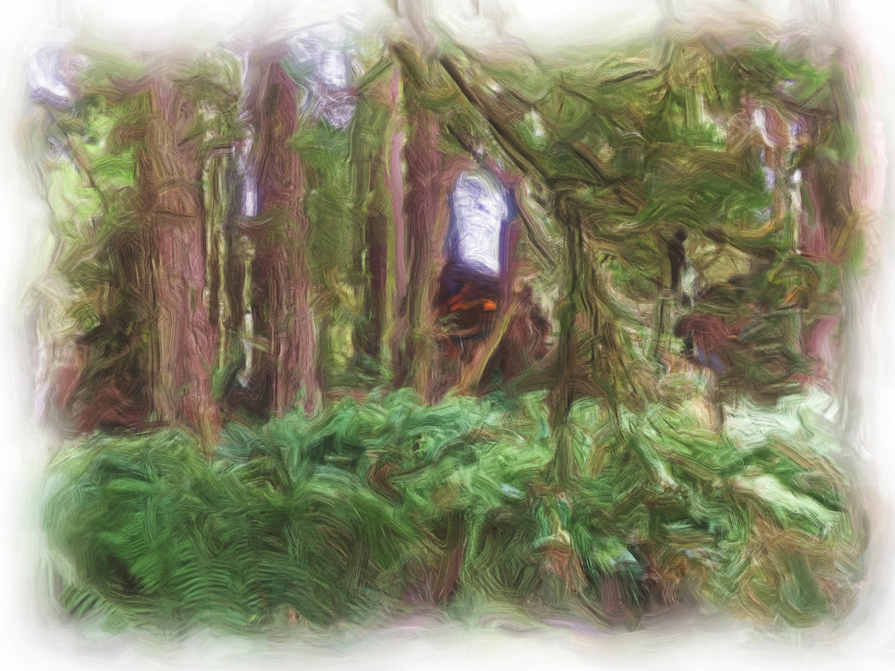 Cabin In The Redwoods Art | Colorfusion Art