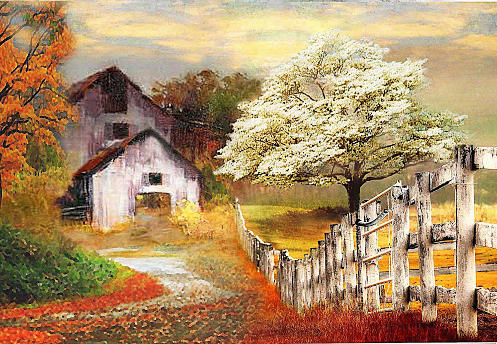 Fence Road To Shed Art | Colorfusion Art