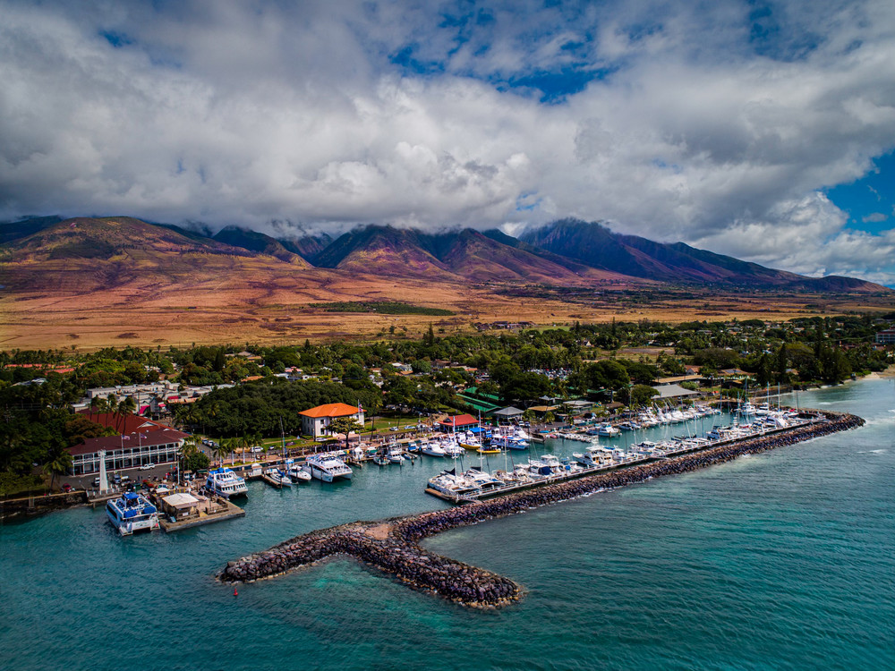 Lahaina Harbor, Hawaii Art | StephanieDay