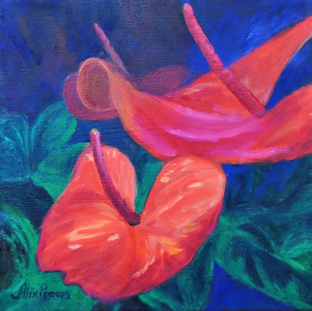 Colorful Flowers Art | Alix Porras Fine Art