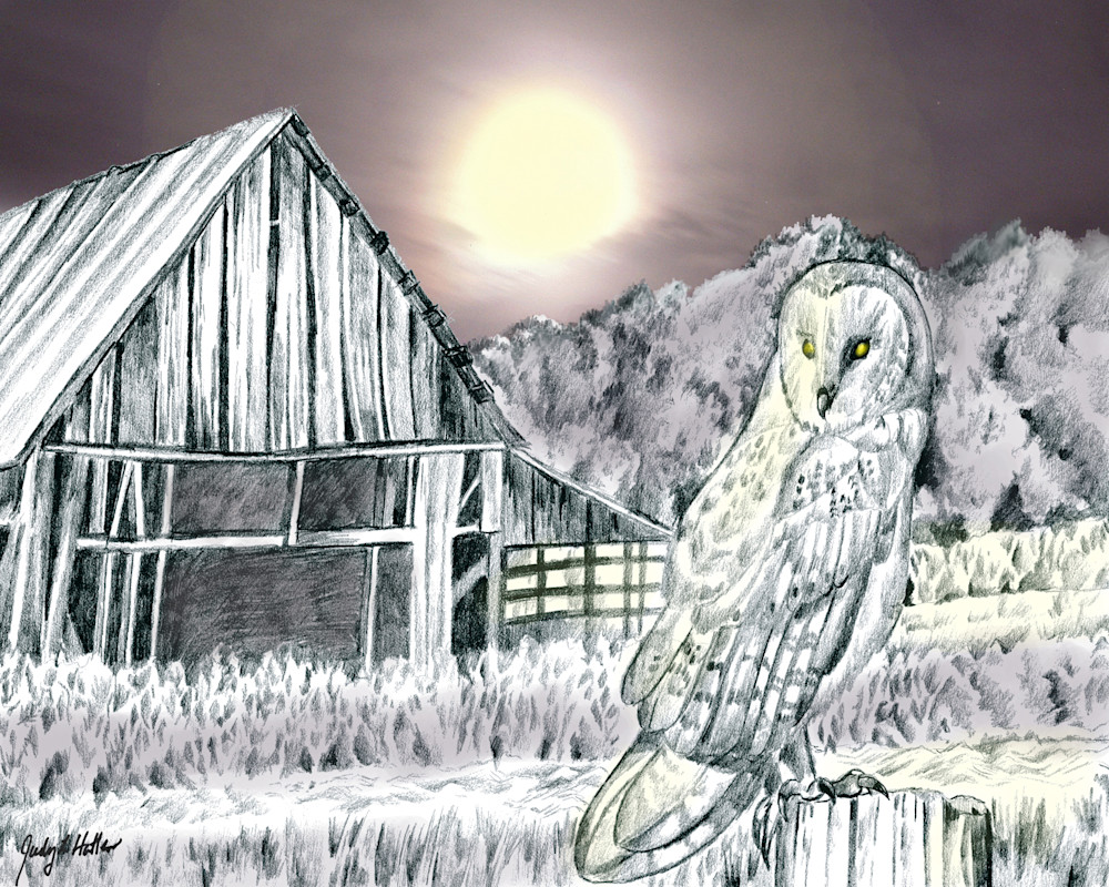Barn Owl Art | Judy's Art Co.