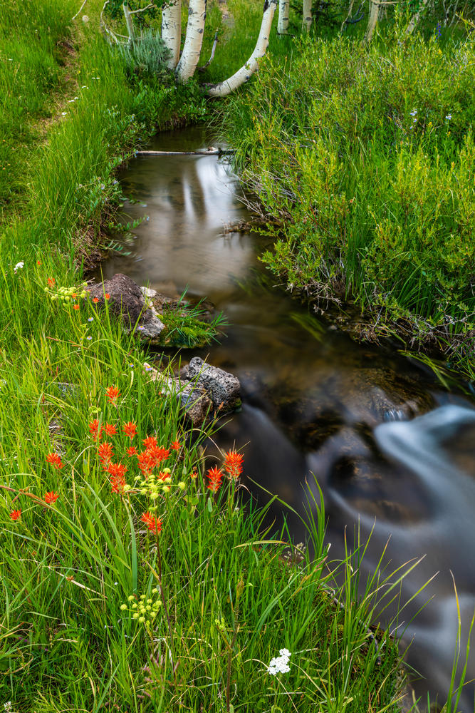 Indian Summer Photography Art | Craig Primas Photography