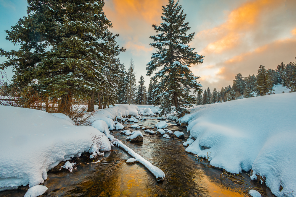 Late Winter Picnic Photography Art | Craig Primas Photography